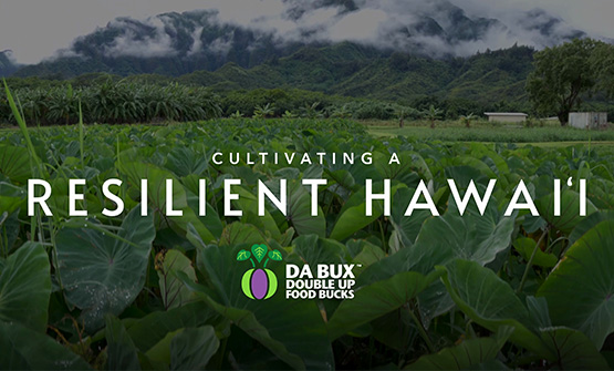 A photo of a lush green taro farm in Kaneohe, Hawaii. A beautiful Hawaiian mountain range with clouds can be seen in the background.